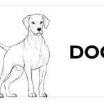 dog drawing pages