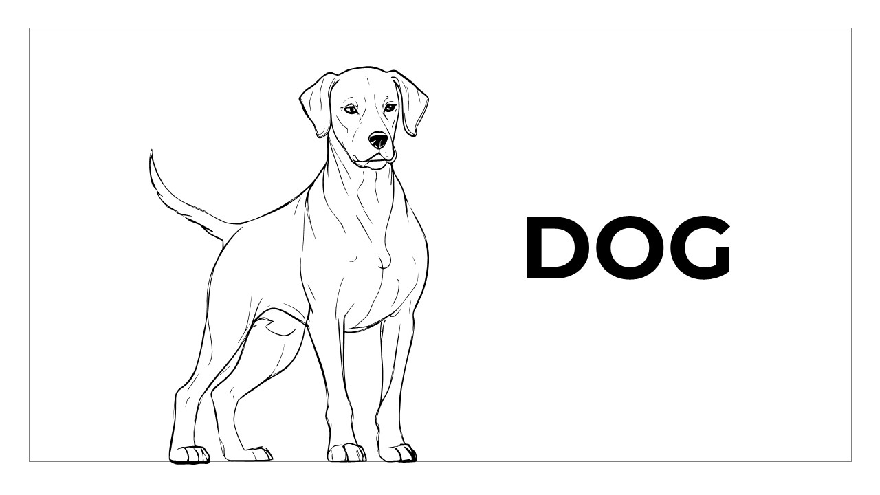 dog drawing pages