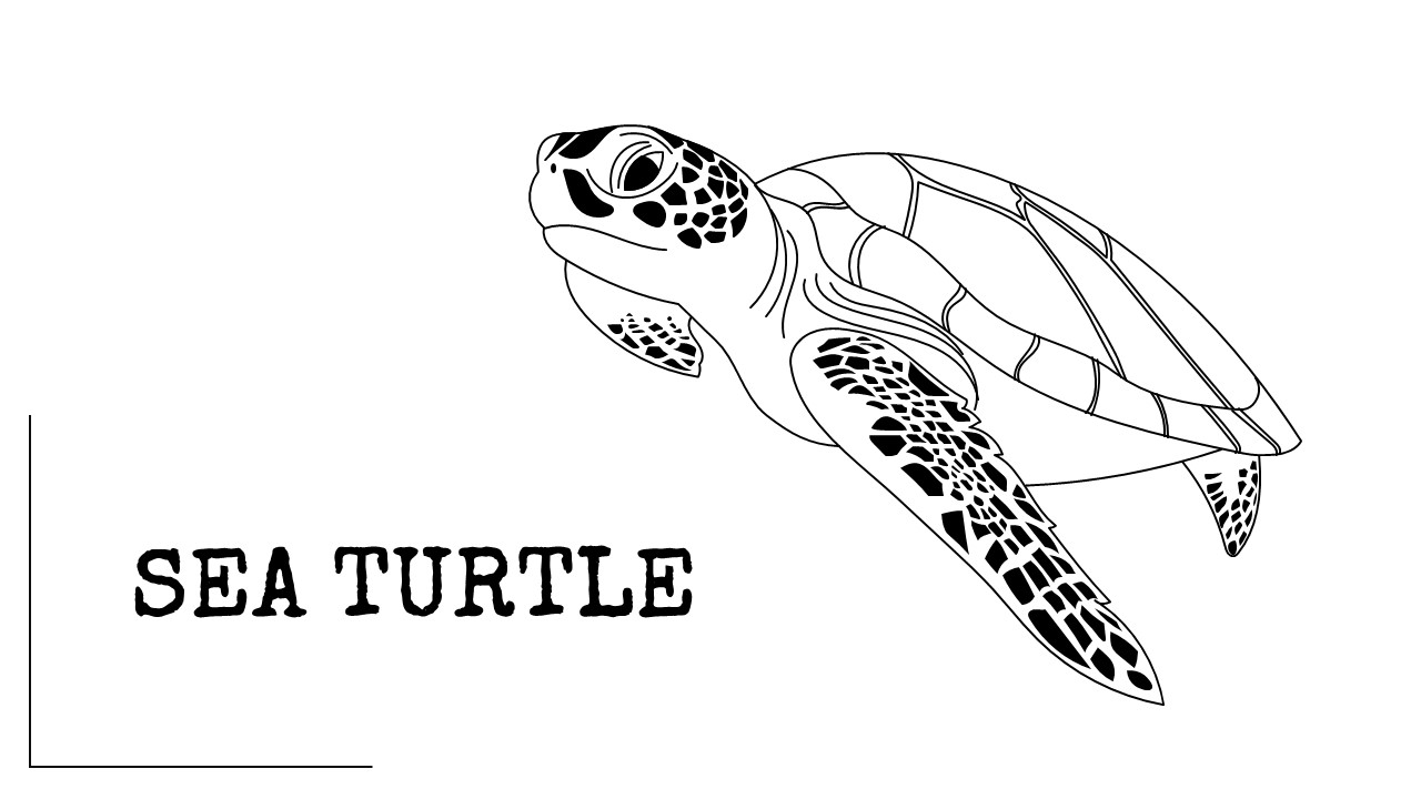 Giant Turtle Coloring Pages