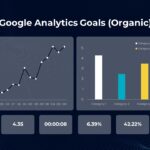 Google Analytics Organice Trafffic