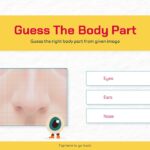 Guess body part nose