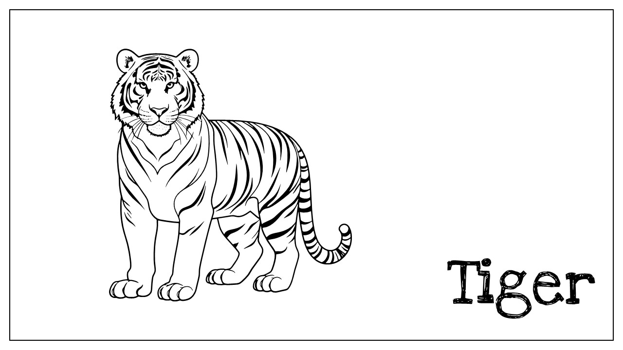 Tiger coloring pages