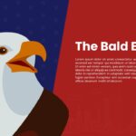 The Bold Eagle