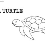 Turtle coloring pages