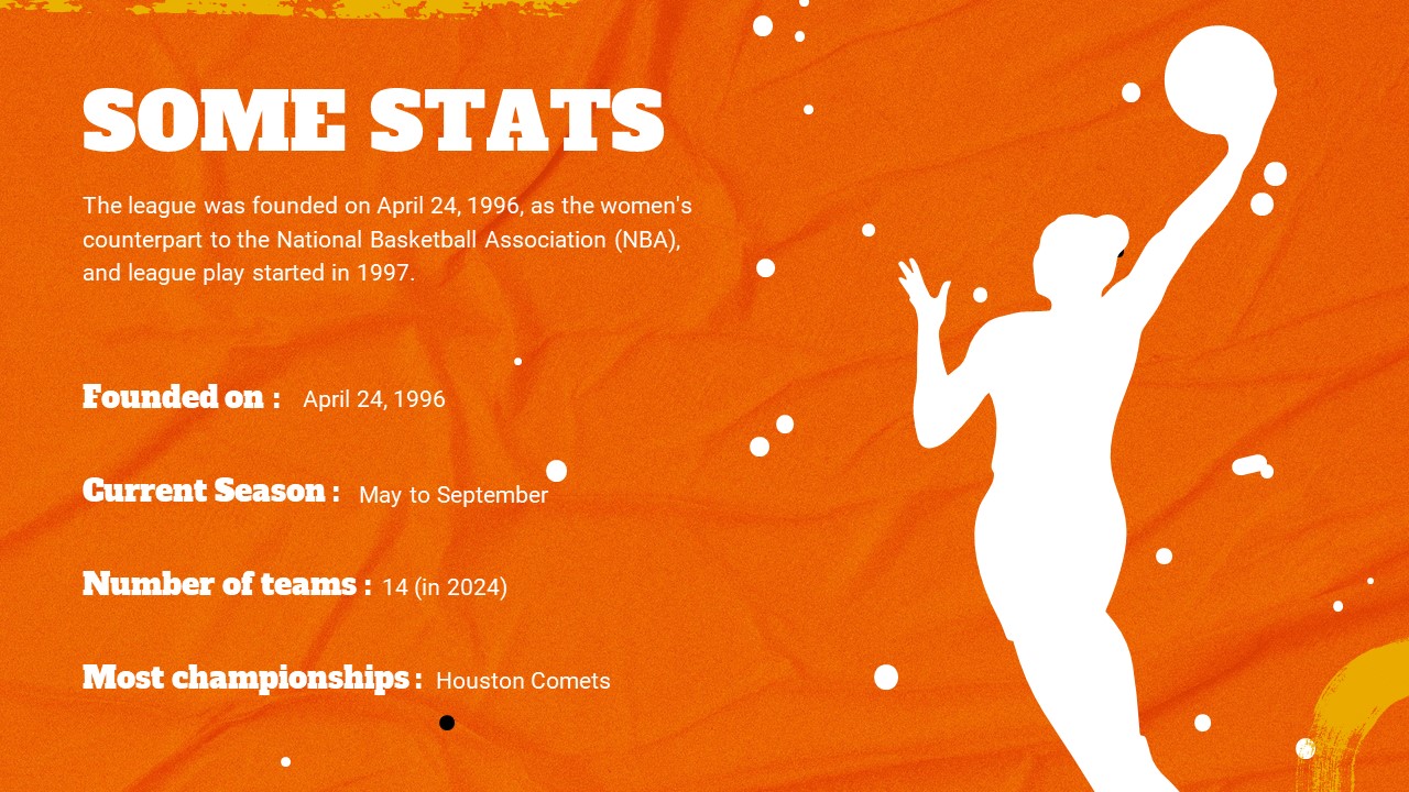 WNBA 2024 Stats