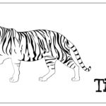 Wild Tiger Coloring Pages