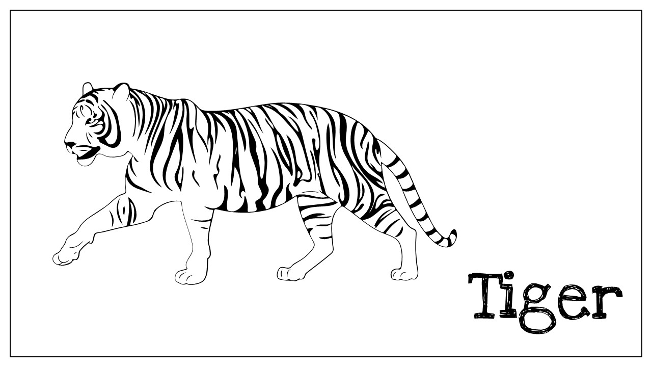 Wild Tiger Coloring Pages