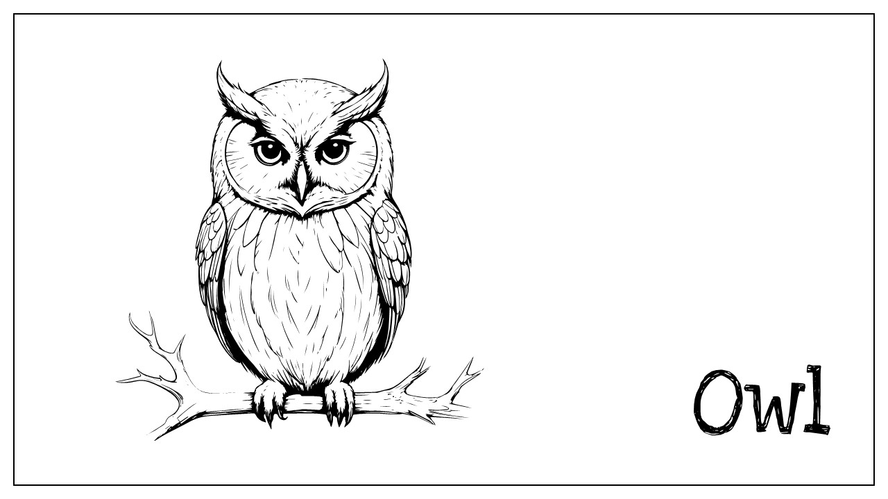 owl coloring page template