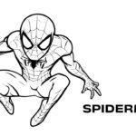 spiderman superhero coloring pages