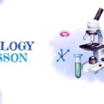 biology lesson poster