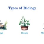 types of biology