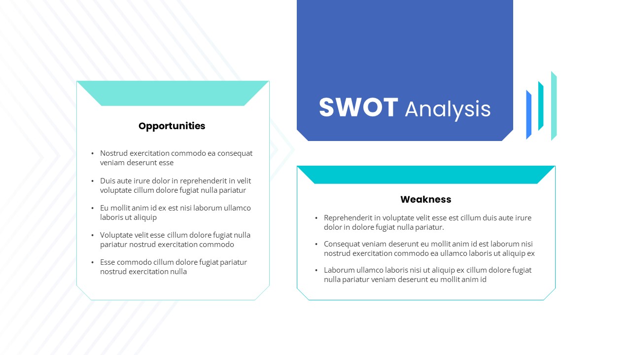 bytedance opportunities and threats