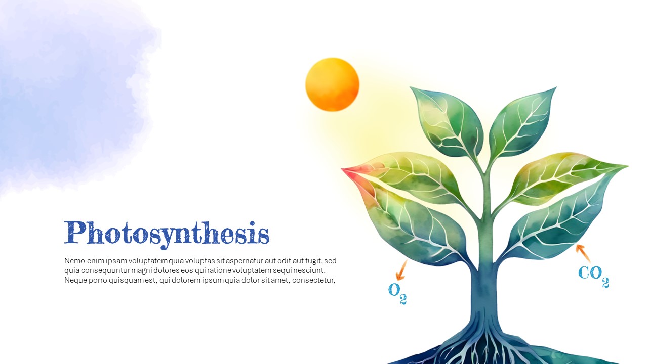 photosynthesis template