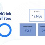 seo report - backlink profiles