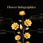 black and gold powerpoint template