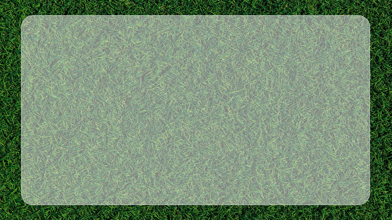 grass background