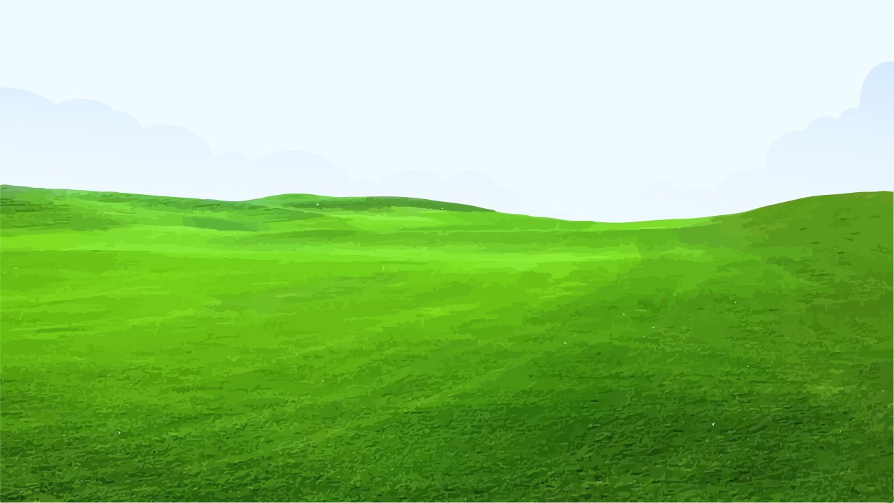 green grass background