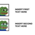 crying frog meme