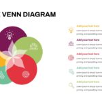 venn infographic diagram