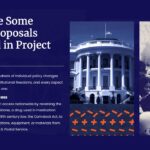 Políticas y propuestas del proyecto 2025