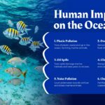 human impact on ocean