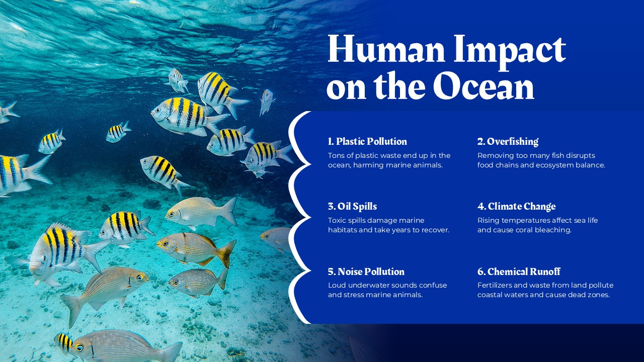 human impact on ocean
