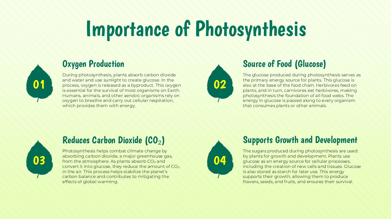 importance of photosynthesis