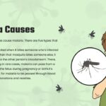 malaria causes
