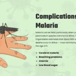 malaria effects