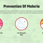 malaria prevention