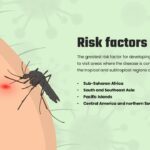 malaria risk factors