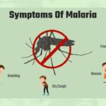 malaria symptoms