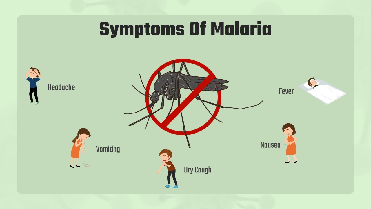 malaria symptoms