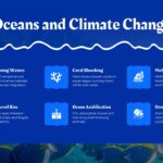 ocean and climate change