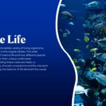 ocean marine life