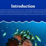 ocean theme template