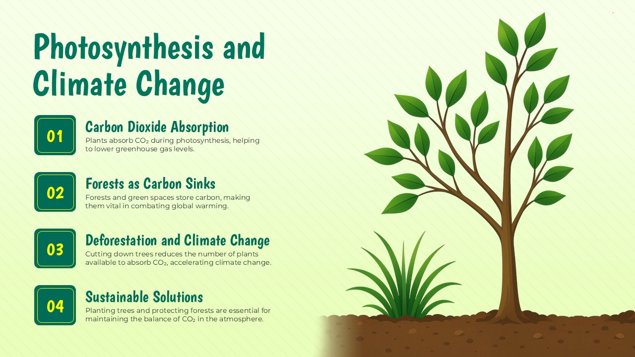 photosynthesis and climate change