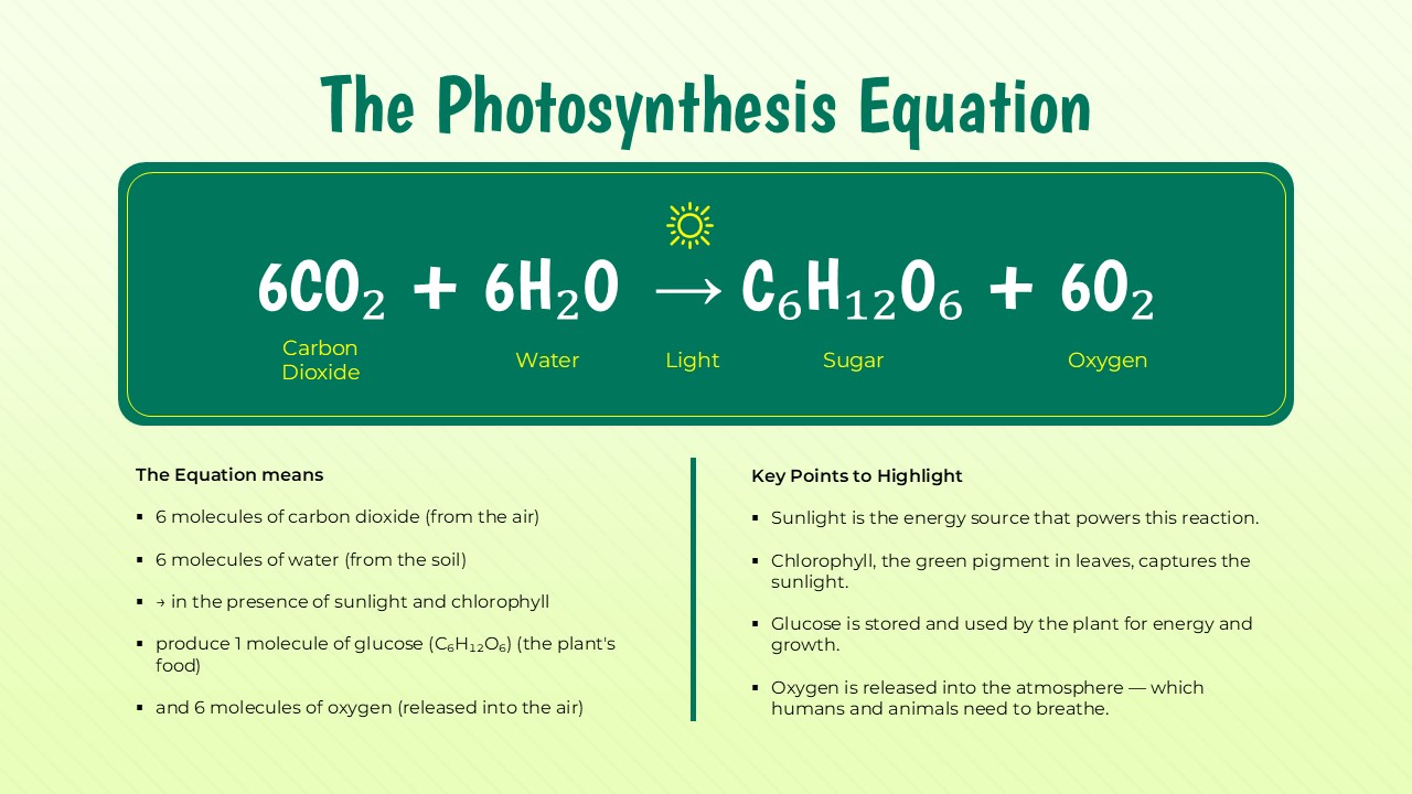 photosynthesis chemical equation