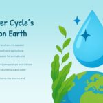 water cycle impact