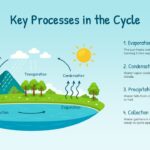 water cycle process