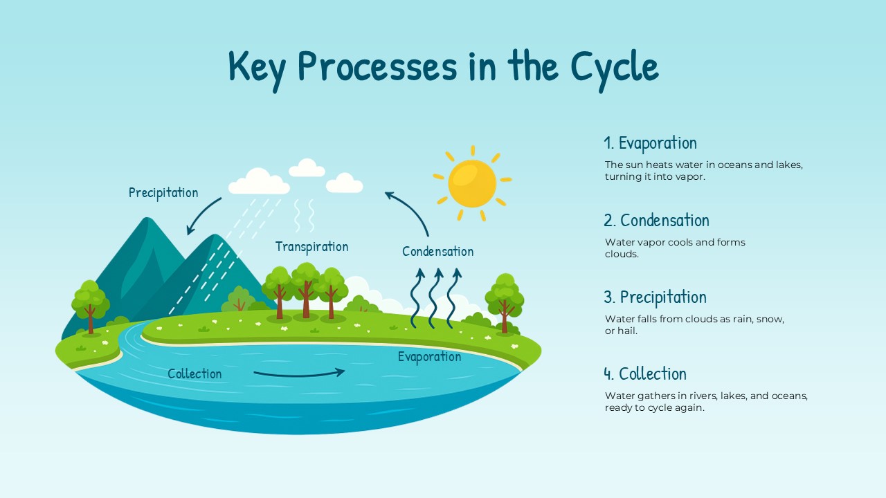 water cycle process