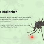 what is malaria