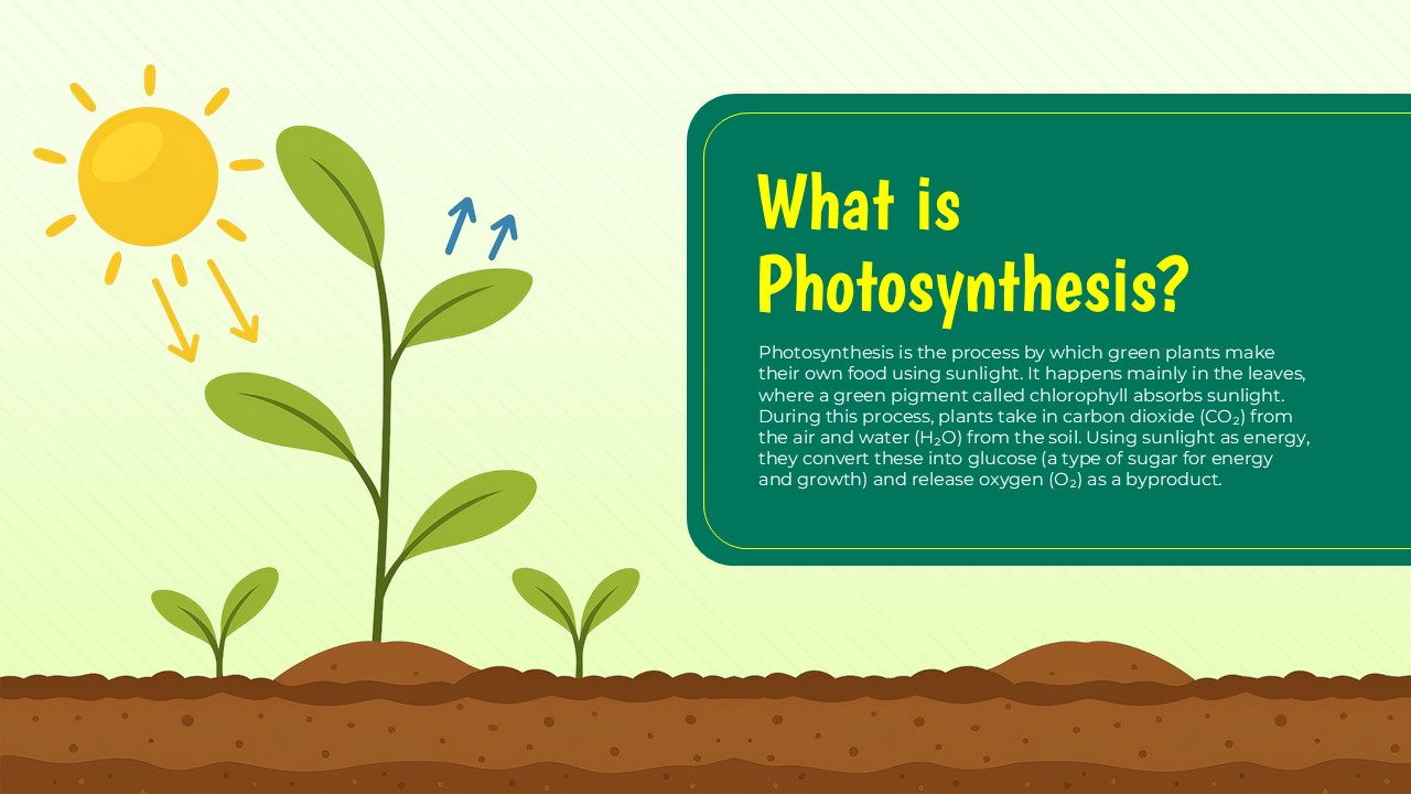 what is photosynthesis