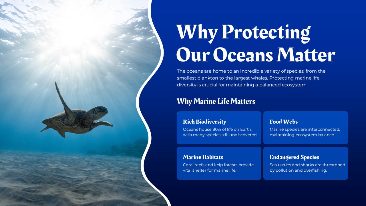 why protecting ocean