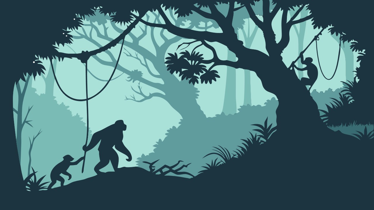 jungle presentation background