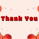 thank you la tomatina