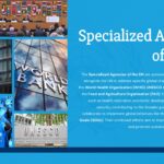specialized agencies of the un