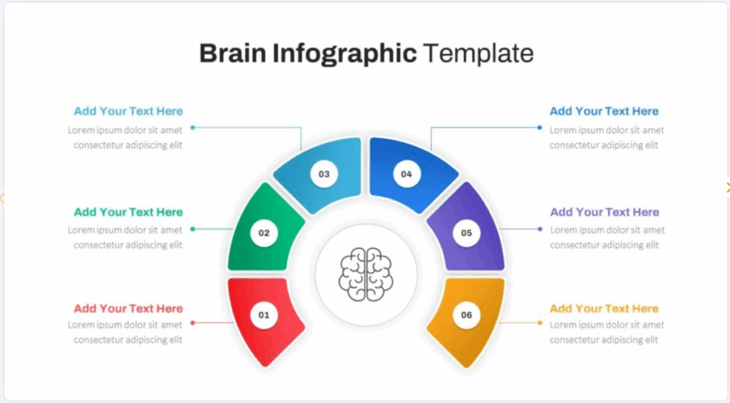 brain infographic template