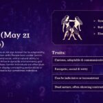 Gemini - zodiac sign