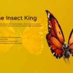 Titus the Insect King Meme